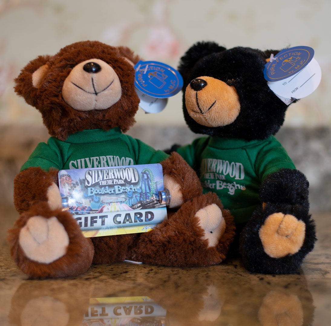 Bear Gift Card Holder