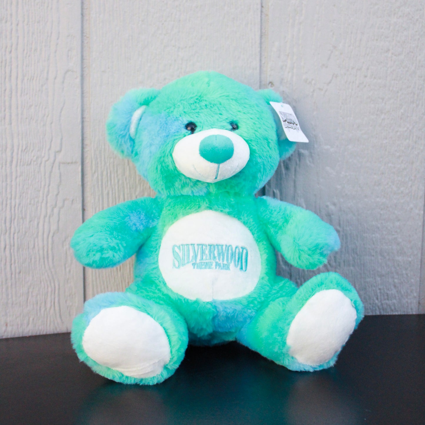 Teal Logo Bear